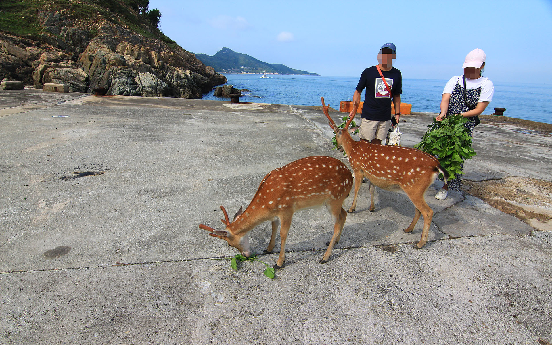 大坵島 thumbnail 3