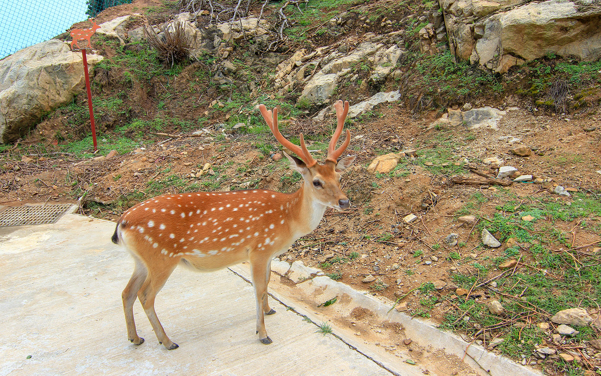 大坵島 thumbnail 4