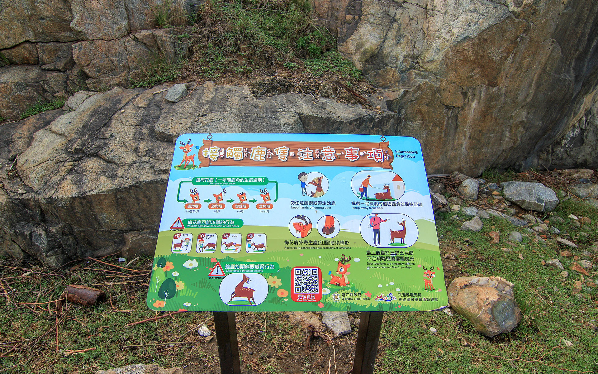大坵島 thumbnail 5