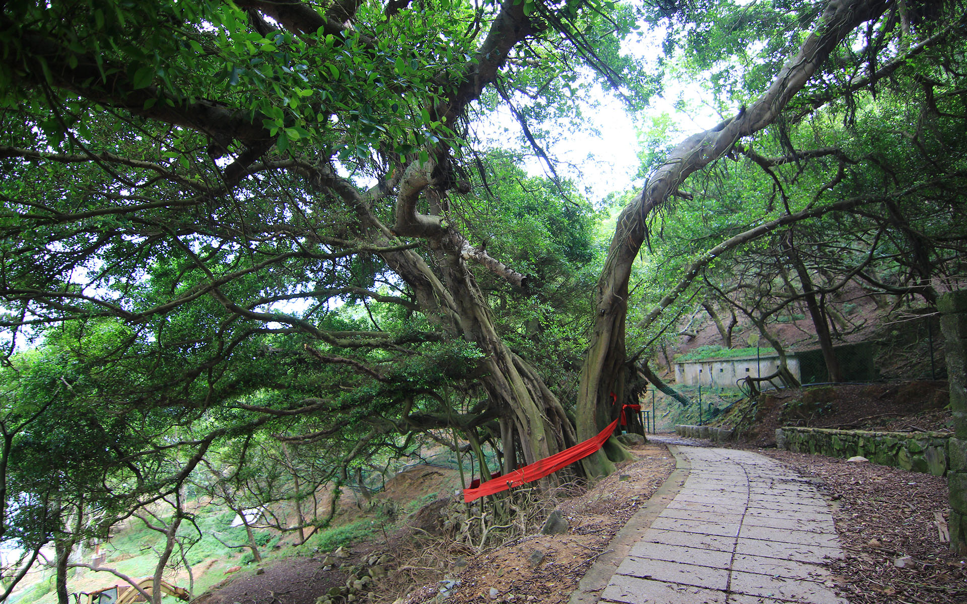 大坵島 thumbnail 7
