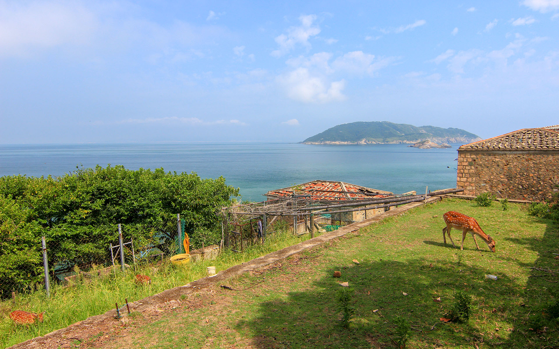 大坵島 thumbnail 10