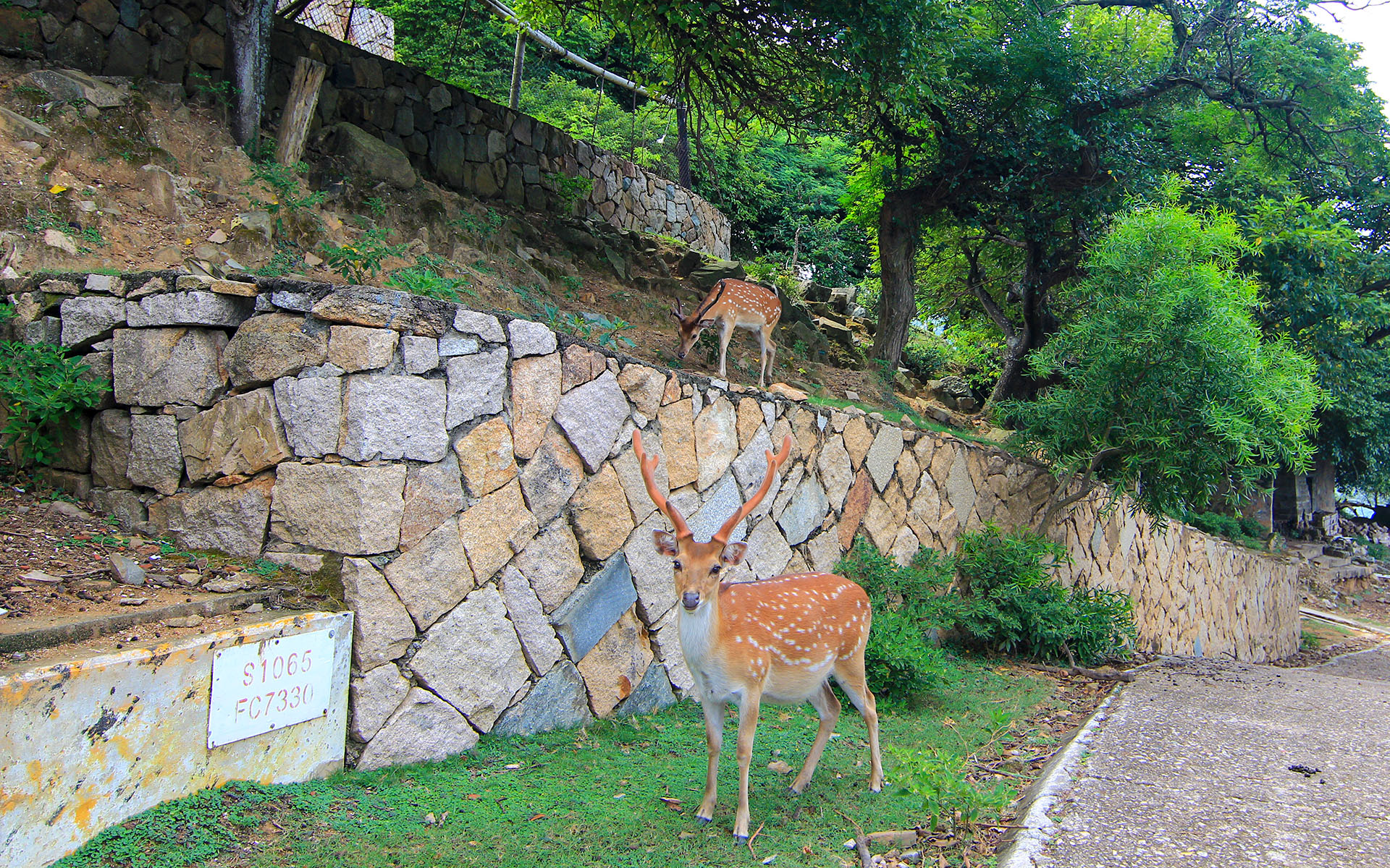 大坵島 thumbnail 11